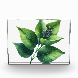 Botanisches Leaf und Blüten Fotoblock