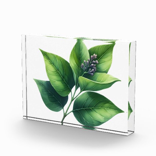 Botanisches Leaf und Blüten Fotoblock (Rechts)