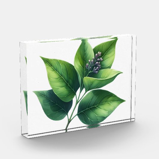 Botanisches Leaf und Blüten Fotoblock (Links)