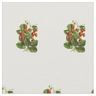 Botanisches Muster der niedlichen Wildbeere Stoff