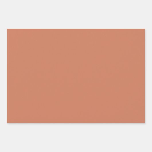 Botanisches Muster Terracotta - Wrapping Paper Set Geschenkpapier Set (Vorderseite 3)