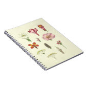 Botanisches Notebook Notizblock (Rechte Seite)