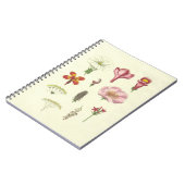 Botanisches Notebook Notizblock (Linke Seite)
