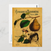 Botanisches Obst Postkarte (Vorne/Hinten)