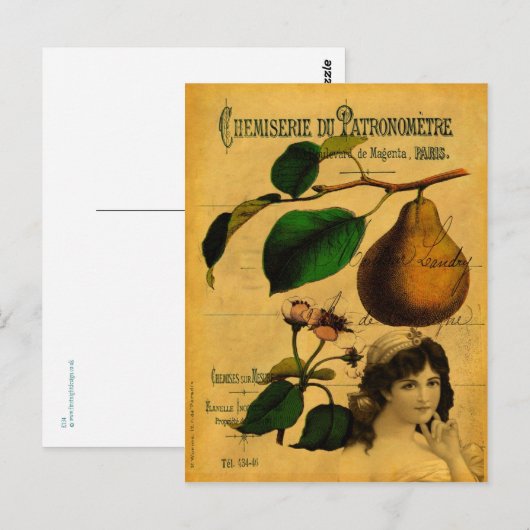 Botanisches Obst Postkarte (Vorne/Hinten)