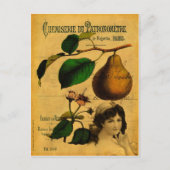Botanisches Obst Postkarte (Vorderseite)