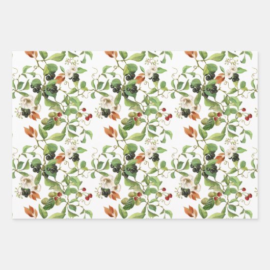 Botanisches Obst und Blattpapier, Set Geschenkpapier Set (Vorderseite 3)