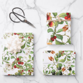 Botanisches Obst und Blattpapier, Set Geschenkpapier Set