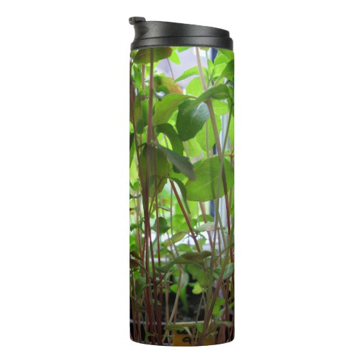 Botanisches Pflanzen-Sämlings-Foto Thermosbecher (Nach rechts gedreht)