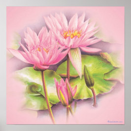 Botanisches Plakatprint von Wasserlilie pink Poster