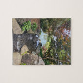 Botanisches Puzzle von St. Louis, 8 Zoll x 10 Zoll (Horizontal)