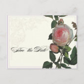 Botanisches Rosa, Lilac Save the Date Postkarte (Vorderseite)