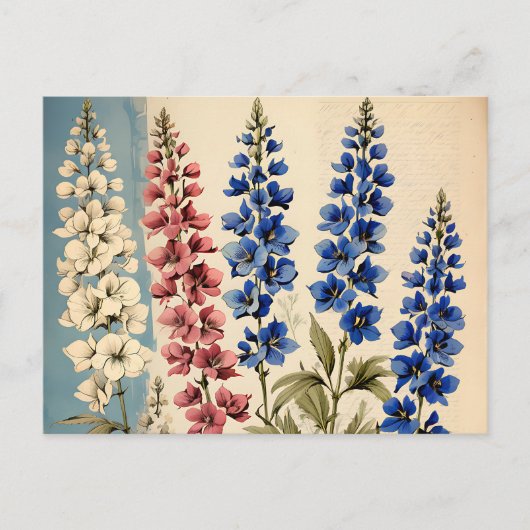 Botanisches Rustikales Delphinium Postkarte (Vorderseite)