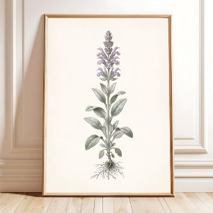 Botanisches Silber-Salbei-Cottagecore-Wandkunstwer Poster