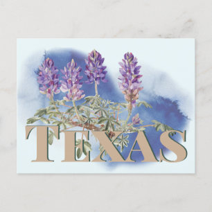 Botanisches Texas Bluebonnet 2 Postkarte