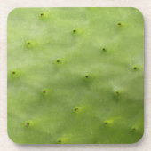 Botanisches tropisches grünes Kaktus-Foto Untersetzer (Vorderseite)
