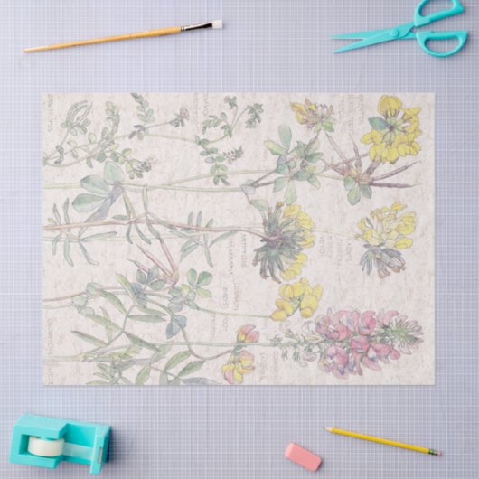 Botanisches Vogelfuß-Wildblume-Blumen-Seidenpapier Seidenpapier (Basteln)