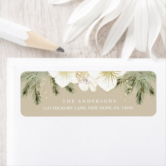 Botanisches Weihnachtsblatt (Insitu)