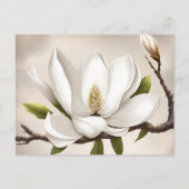 Botanisches Weißes Magnolia Postkarte (Vorderseite)