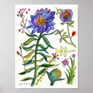 Botanisches Zeichnen der wunderbaren blauen Blume Poster