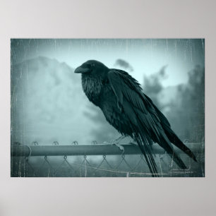 Bote Poster