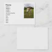 Botengang, Visitenkarte (Vorne/Hinten)