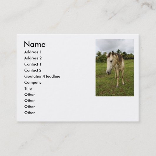 Botengang, Visitenkarte (Vorderseite)