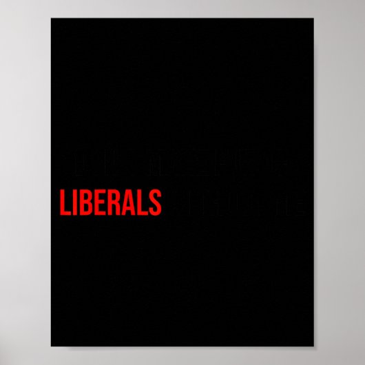 (both Side) Don't Make Fun Of Liberals Without Me Poster (Vorne)