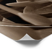 Botões Poster (Ecke)