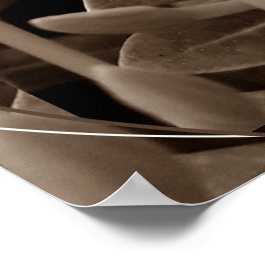 Botões Poster (Ecke)