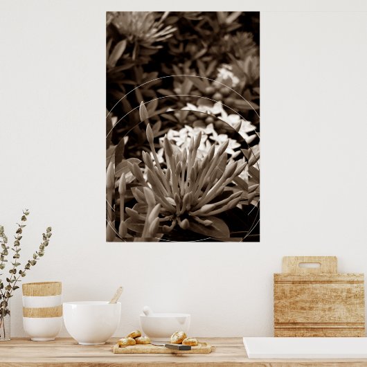 Botões Poster (Küche)