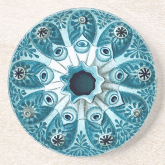 Botryllus Polycyclus Ernst Haeckel Kunstkunst Getränkeuntersetzer (Vorne)