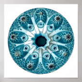 Botryllus Polycyclus Ernst Haeckel Kunstkunst Poster (Vorne)