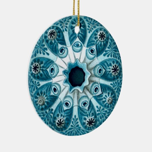 Botryllus polycyclus Ernst Haeckel Kunstwerke Keramik Ornament (Rechts)