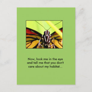 Botschaft des Monarchen Postkarte