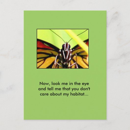 Botschaft des Monarchen Postkarte (Vorderseite)