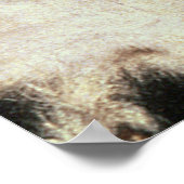 Botschafter, 1533 poster (Ecke)