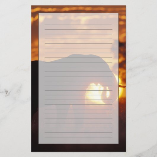 Botsuana, Chobe National Park, Bull Elephant Briefpapier (Vorderseite)