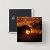 Botsuana, Chobe National Park, Bull Elephant Button (Vorne & Hinten)