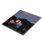 Botsuana, Chobe National Park, Elefanten Fliese (Seite)