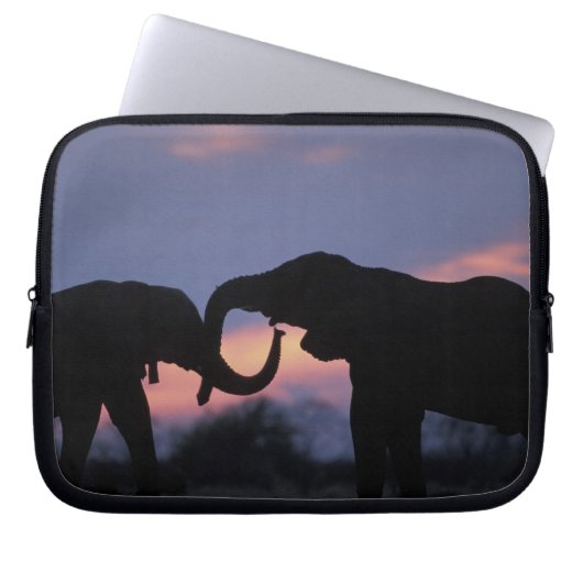 Botsuana, Chobe National Park, Elefanten Laptopschutzhülle (Vorderseite)