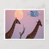 Botsuana - postkarte (Vorderseite)