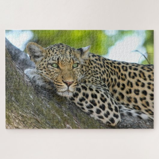 Botswana African Leopard Puzzle (Horizontal)