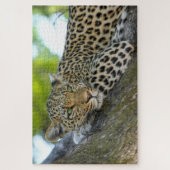 Botswana African Leopard Puzzle (Vertikal)
