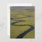 Botswana, Afrika. Arial Blick Okavango Fluss. Postkarte (Vorne/Hinten)