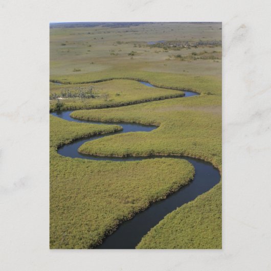 Botswana, Afrika. Arial Blick Okavango Fluss. Postkarte (Vorderseite)