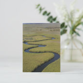 Botswana, Afrika. Arial Blick Okavango Fluss. Postkarte (Stehend Vorderseite)