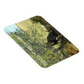 Botswana Central Kalahari Lion Savannah Travel Magnet (Rechte Seite)