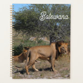 Botswana Central Kalahari Lions Savannah Planer (Vorderseite)