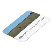 Botswana Central Kalahari Lions Savannah Travel Magnet (Linke Seite)